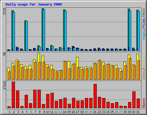 Daily usage for January 2008