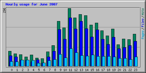 Hourly usage for June 2007