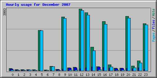 Hourly usage for December 2007