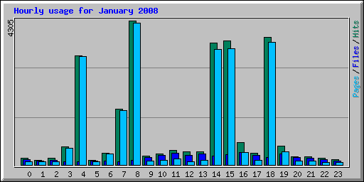 Hourly usage for January 2008
